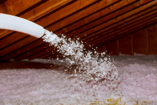 Best Residential Insulation in Newport, VT